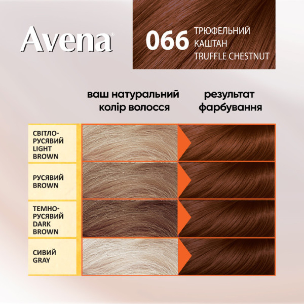 Фарба для волосся Acme Color Avena Shine Color Стійка 066 - Трюфельний каштан (4823115502612)