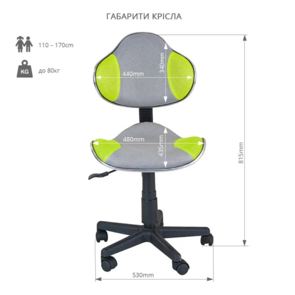 Дитяче крісло FunDesk LST3 Green-Grey (LST3 GN-GY)