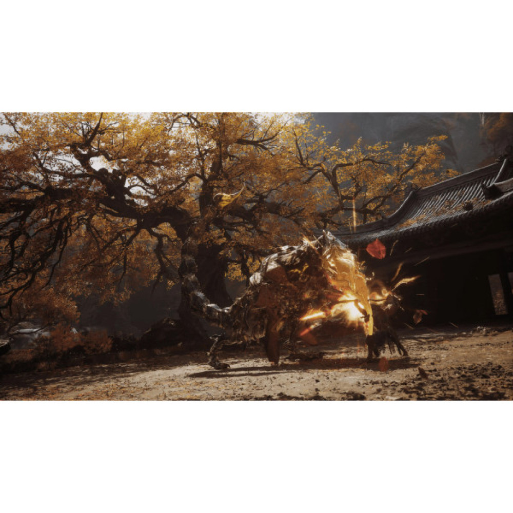 Гра Sony Black Myth: Wukong, BD диск (5056635611864)