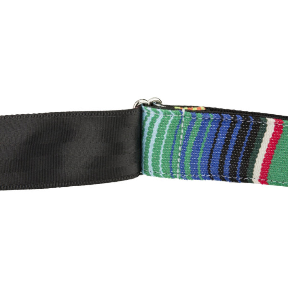 Ремінь для гітари Fender Strap 2" Serape Green Multi (230636)