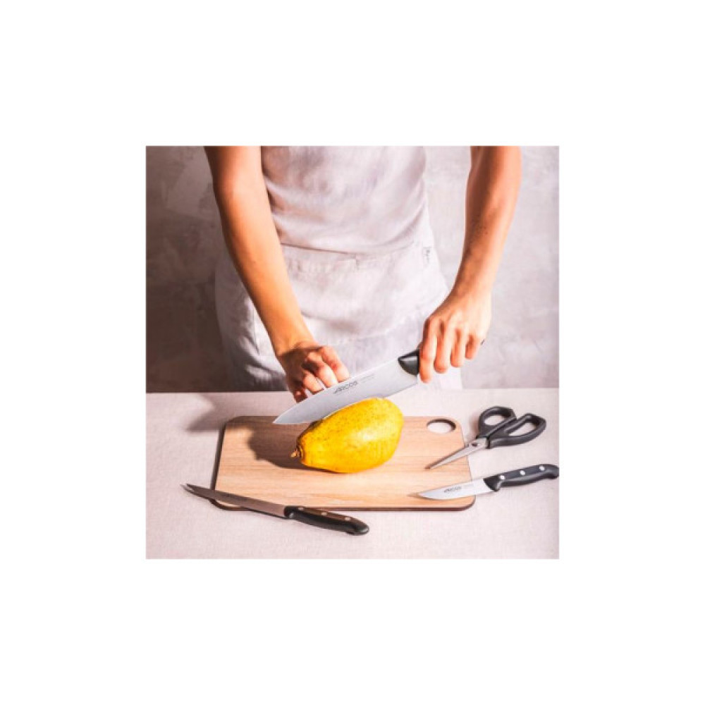 Набір ножів Arcos серія " Maitre" із 4 предметів (152600)