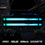 Модуль пам'яті для комп'ютера DDR5 32GB 5200 MHz Beast RGB EXPO Kingston Fury (ex.HyperX) (KF552C36BBEA-32) Модуль пам'яті для комп'ютера DDR5 32GB 5200 MHz Beast RGB EXPO Kingston Fury (ex.HyperX) (KF552C36BBEA-32)