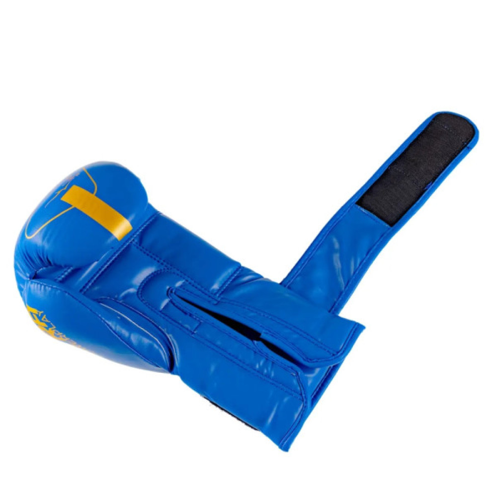 Боксерські рукавички PowerPlay 3089 Alpha Сині 10 унцій (PP_3089_10oz_Blue)