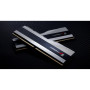 Модуль пам'яті для комп'ютера DDR5 32GB (2x16GB) 8000 MHz Trident Z5 RGB Silver G.Skill (F5-8000J3848H16GX2-TZ5RS) Модуль пам'яті для комп'ютера DDR5 32GB (2x16GB) 8000 MHz Trident Z5 RGB Silver G.Skill (F5-8000J3848H16GX2-TZ5RS)