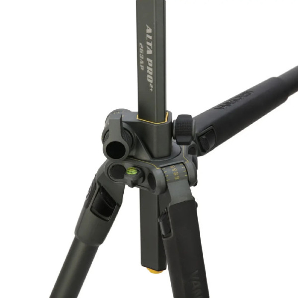 Штатив Vanguard Alta Pro 2+ 263AP (DAS301020)
