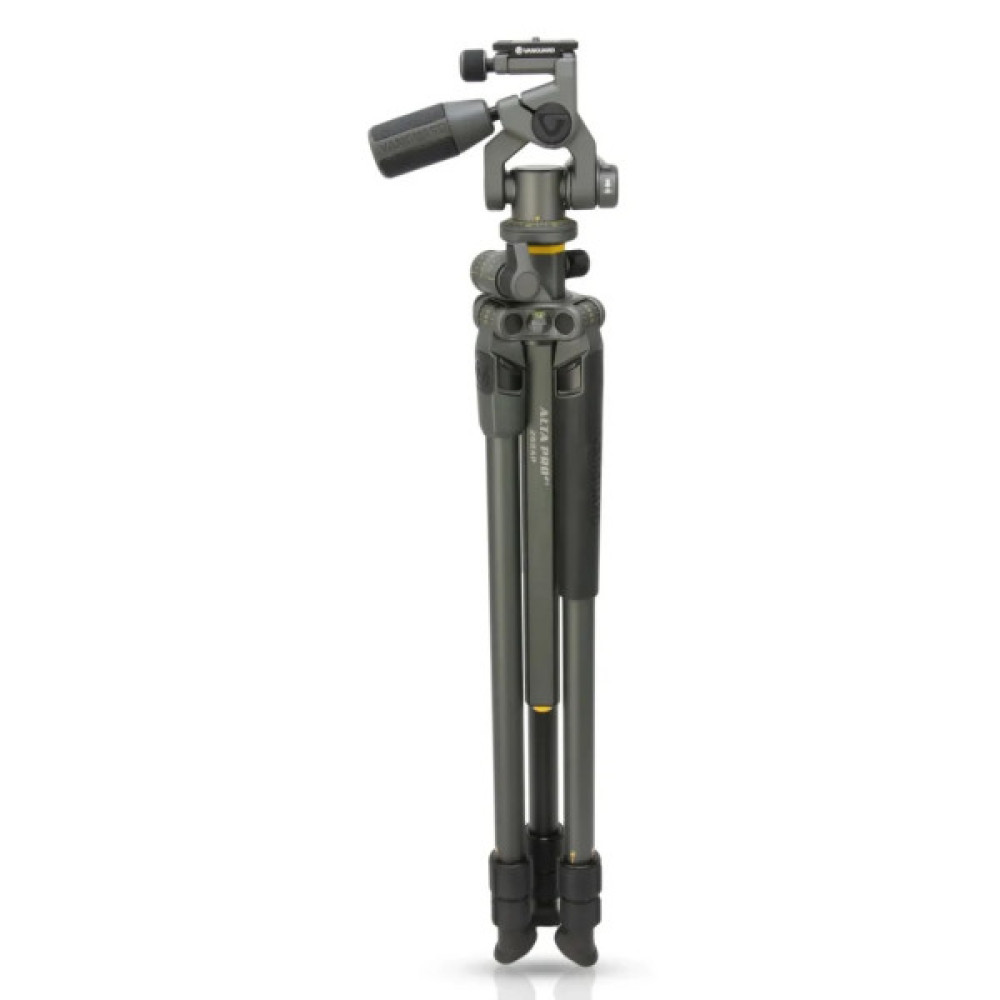 Штатив Vanguard Alta Pro 2+ 263AP (DAS301020)