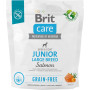 Сухий корм для собак Brit Care Dog Grain-free Junior Large Breed для великих порід з лососем 1 кг (8595602558889) Сухий корм для собак Brit Care Dog Grain-free Junior Large Breed для великих порід з лососем 1 кг (8595602558889)