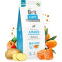 Сухий корм для собак Brit Care Dog Grain-free Junior Large Breed для великих порід з лососем 1 кг (8595602558889) Сухий корм для собак Brit Care Dog Grain-free Junior Large Breed для великих порід з лососем 1 кг (8595602558889)