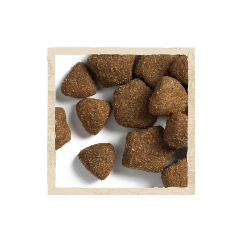 Сухий корм для собак Purina Dog Chow Adult Lamb зі смаком ягняти 2.5 кг (7613034485946)