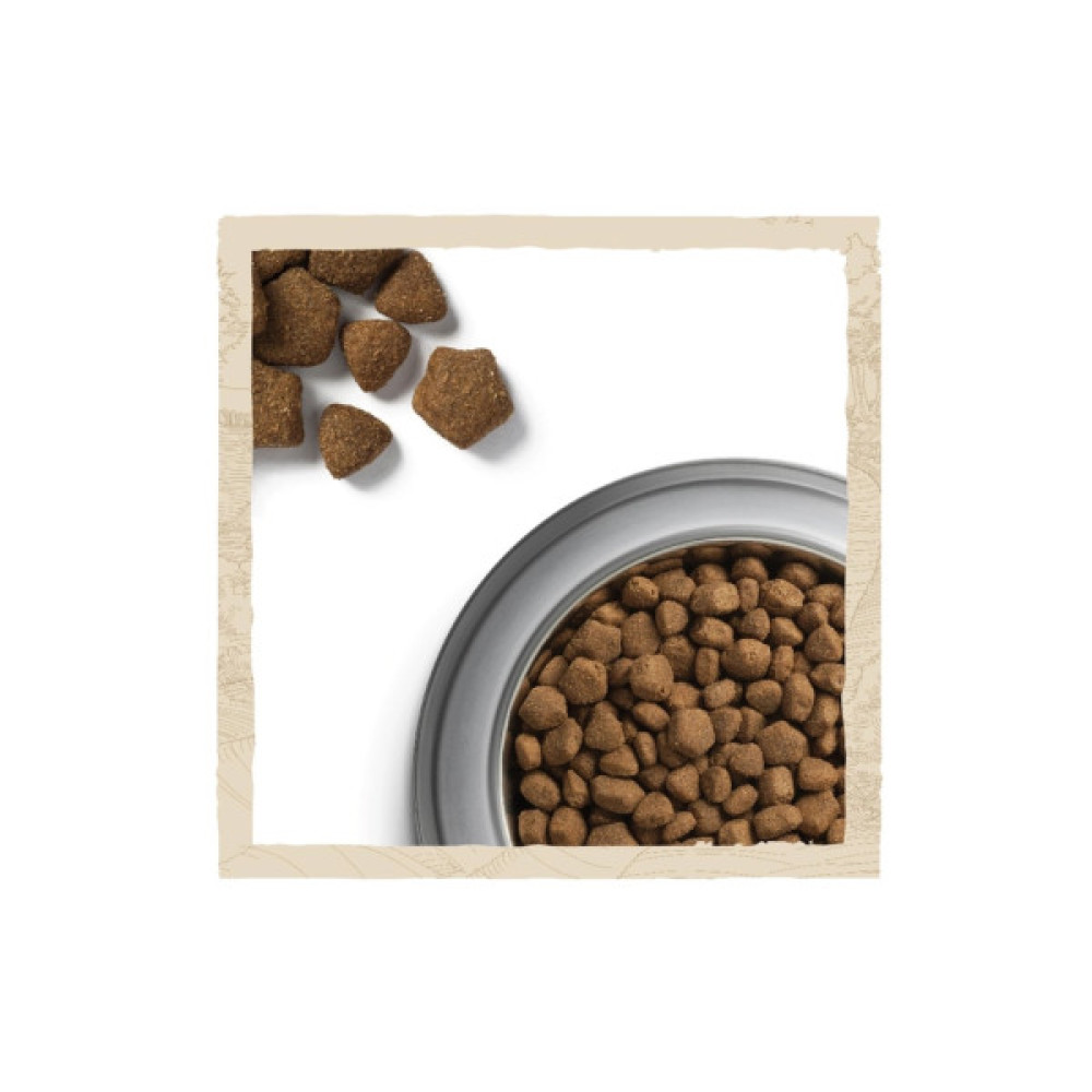 Сухий корм для собак Purina Dog Chow Adult Lamb зі смаком ягняти 2.5 кг (7613034485946)