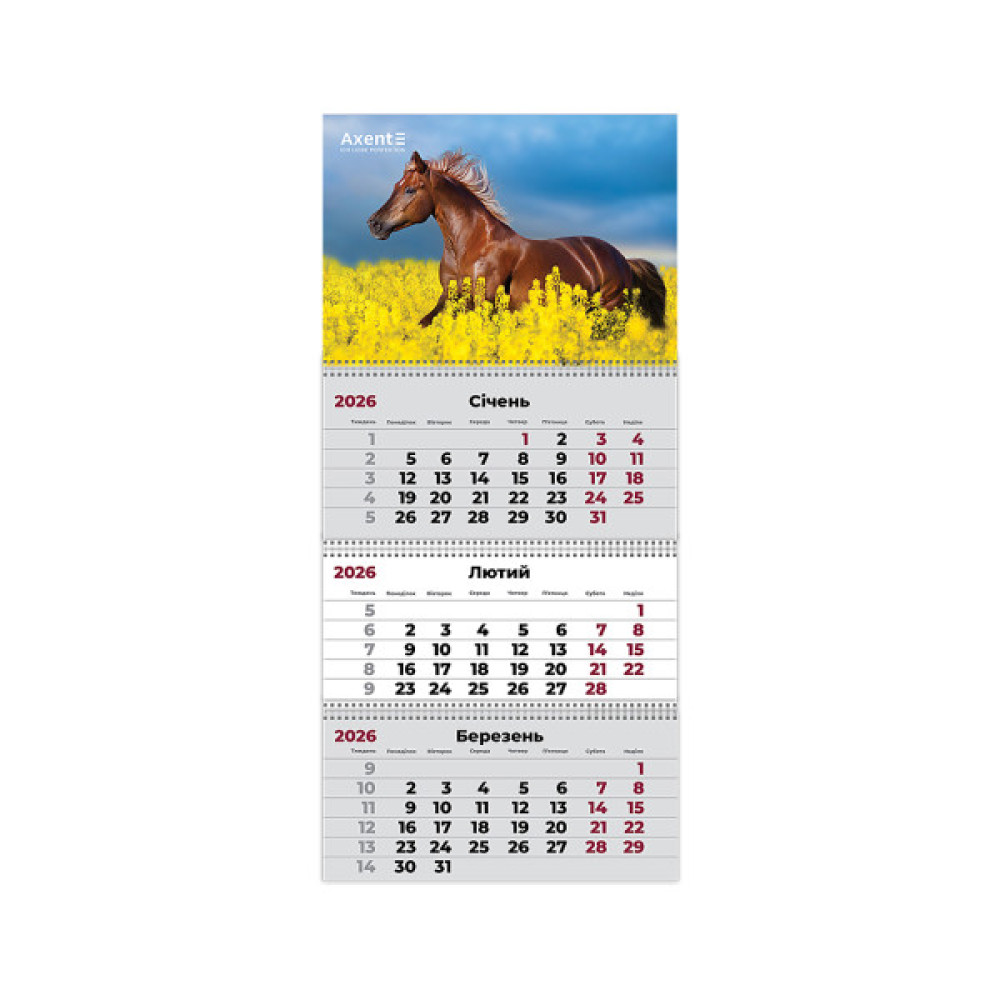 Календар Axent настінний квартальний на 2026 р. (3 пружини) Horses 1 (8803-26-7-A)