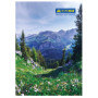 Канцелярська книга Buromax А4, 96 арк., клітинка, тверда ламін.обкл (BM.2430) Канцелярська книга Buromax А4, 96 арк., клітинка, тверда ламін.обкл (BM.2430)