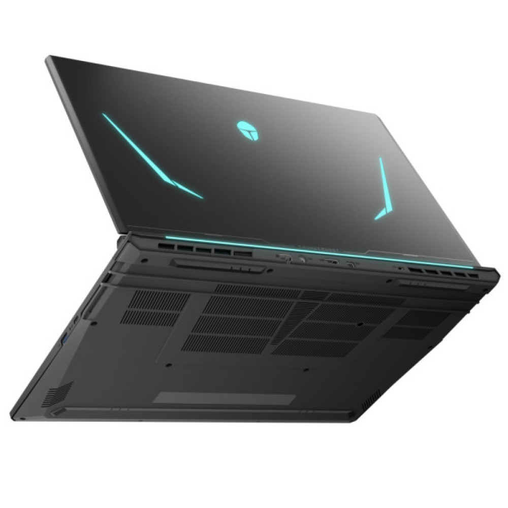 Ноутбук Thunderobot 911 X17 (911X17-i7136H56C1Q165MB)