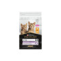 Сухий корм для кішок Purina Pro Plan Original Kitten з куркою 10 кг (7613036505307) Сухий корм для кішок Purina Pro Plan Original Kitten з куркою 10 кг (7613036505307)