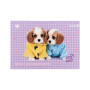 Альбом для малювання Kite Studio Pets, 24 аркуша (SP25-242)