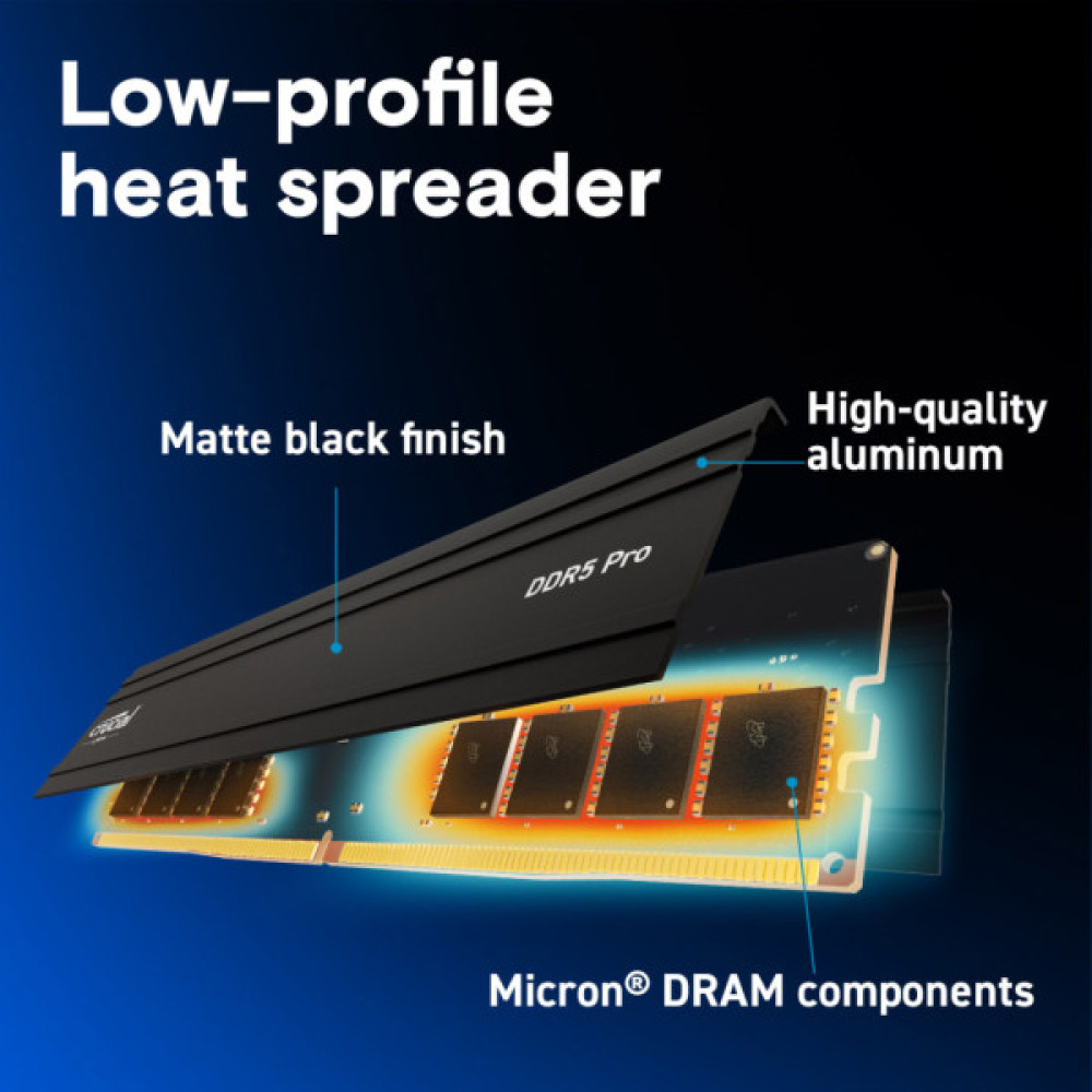 Модуль пам'яті для комп'ютера DDR5 64GB 5600 MHz Micron (CP64G56C46U5)