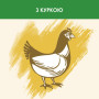 Сухий корм для кішок Purina Cat Chow Sterilised з куркою 15 кг (7613032233051) Сухий корм для кішок Purina Cat Chow Sterilised з куркою 15 кг (7613032233051)