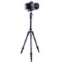 Штатив Vanguard Vesta TB 204CB (DAS301490) Штатив Vanguard Vesta TB 204CB (DAS301490)