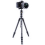 Штатив Vanguard Vesta TB 204CB (DAS301490) Штатив Vanguard Vesta TB 204CB (DAS301490)