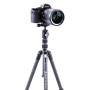 Штатив Vanguard Vesta TB 204CB (DAS301490) Штатив Vanguard Vesta TB 204CB (DAS301490)