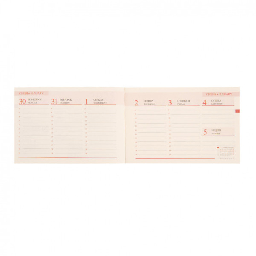 Тижневик Leo planner датований 2025 Cioccolato 10х15 см 128 сторінок (252570)