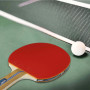 Комплект для настільного тенісу Gewo Rave Speed 2 Bats 3 Balls (86080000) (931051) Комплект для настільного тенісу Gewo Rave Speed 2 Bats 3 Balls (86080000) (931051)