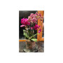 Ваза Ecomo Cylinder 19 x 19 см (35096) Ваза Ecomo Cylinder 19 x 19 см (35096)