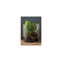 Ваза Ecomo Cylinder 19 x 19 см (35096) Ваза Ecomo Cylinder 19 x 19 см (35096)