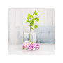 Ваза Ecomo Cylinder 19 x 19 см (35096) Ваза Ecomo Cylinder 19 x 19 см (35096)