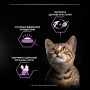 Вологий корм для кішок Purina Pro Plan Kitten З куркою 85 г (8445290673688) Вологий корм для кішок Purina Pro Plan Kitten З куркою 85 г (8445290673688)