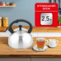Чайник Tefal Duetto+ зі свистком 2.5 л чорний/сталевий (N4210310)
