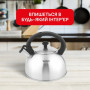 Чайник Tefal Duetto+ зі свистком 2.5 л чорний/сталевий (N4210310)