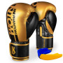 Боксерські рукавички Phantom APEX Elastic Gold 16oz (PHBG2215-16)