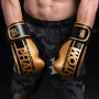 Боксерські рукавички Phantom APEX Elastic Gold 16oz (PHBG2215-16)