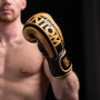 Боксерські рукавички Phantom APEX Elastic Gold 16oz (PHBG2215-16)
