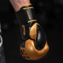Боксерські рукавички Phantom APEX Elastic Gold 16oz (PHBG2215-16)