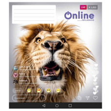 Зошит Школярик Online 48 аркушів клітинка (048-3420K)