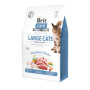 Сухий корм для кішок Brit Care Cat GF Large cats Power and Vitality 400 г (8595602540921) Сухий корм для кішок Brit Care Cat GF Large cats Power and Vitality 400 г (8595602540921)