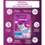 Сухий корм для кішок Whiskas з тунцем 800 г (5900951305269) Сухий корм для кішок Whiskas з тунцем 800 г (5900951305269)