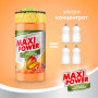 Засіб для ручного миття посуду Maxi Power Манго 1 л (4820204702076)