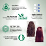 Фарба для волосся Acme Color Beauty Phyto 105 - Полуничний блонд (4823115501936) Фарба для волосся Acme Color Beauty Phyto 105 - Полуничний блонд (4823115501936)