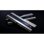 Модуль пам'яті для комп'ютера DDR5 32GB (2x16GB) 6800 Trident Z5 RGB Silver G.Skill (F5-6800J3445G16GX2-TZ5RS) Модуль пам'яті для комп'ютера DDR5 32GB (2x16GB) 6800 Trident Z5 RGB Silver G.Skill (F5-6800J3445G16GX2-TZ5RS)