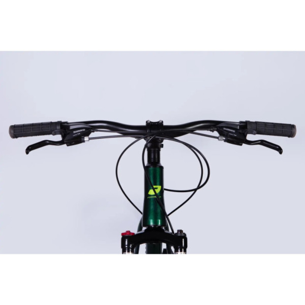 Велосипед Formula 29" MOTION DD FR рама-21" AL 2026 зелений (OPS-FR-29-425)