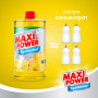 Засіб для ручного миття посуду Maxi Power Лимон запаска 1000 мл (4823098408444) Засіб для ручного миття посуду Maxi Power Лимон запаска 1000 мл (4823098408444)