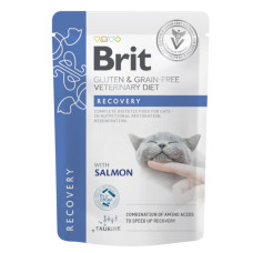 Вологий корм для кішок Brit GF VetDiets Recovery з лососем 85 г (8595602566693)