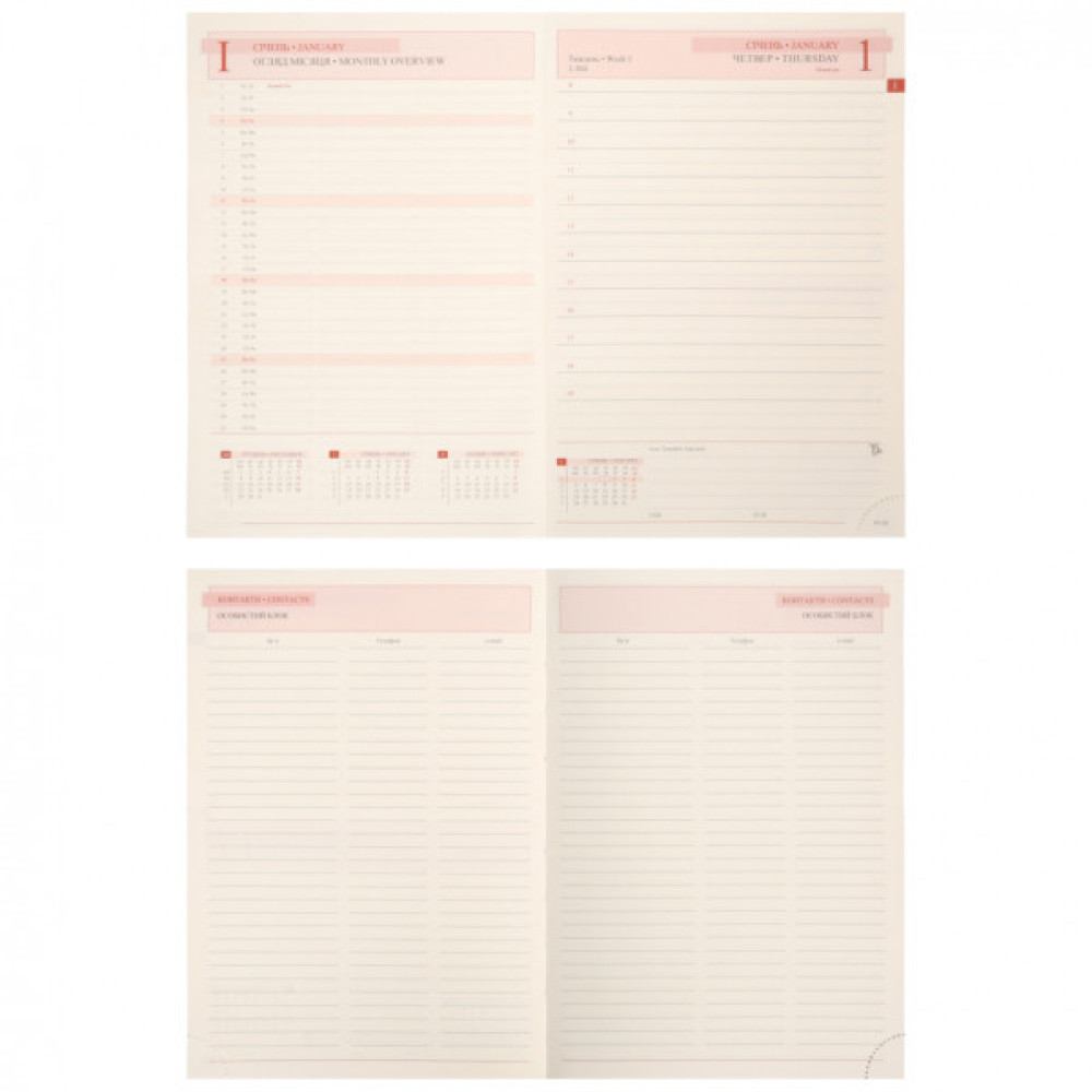 Тижневик Leo planner А5 датований 2026 "Velvet", м‘який, темно-зелений, 368 сторінок (252637)