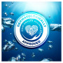 Шампунь Head & Shoulders Detox Глибоке очищення 300 мл (8001841996769) Шампунь Head & Shoulders Detox Глибоке очищення 300 мл (8001841996769)