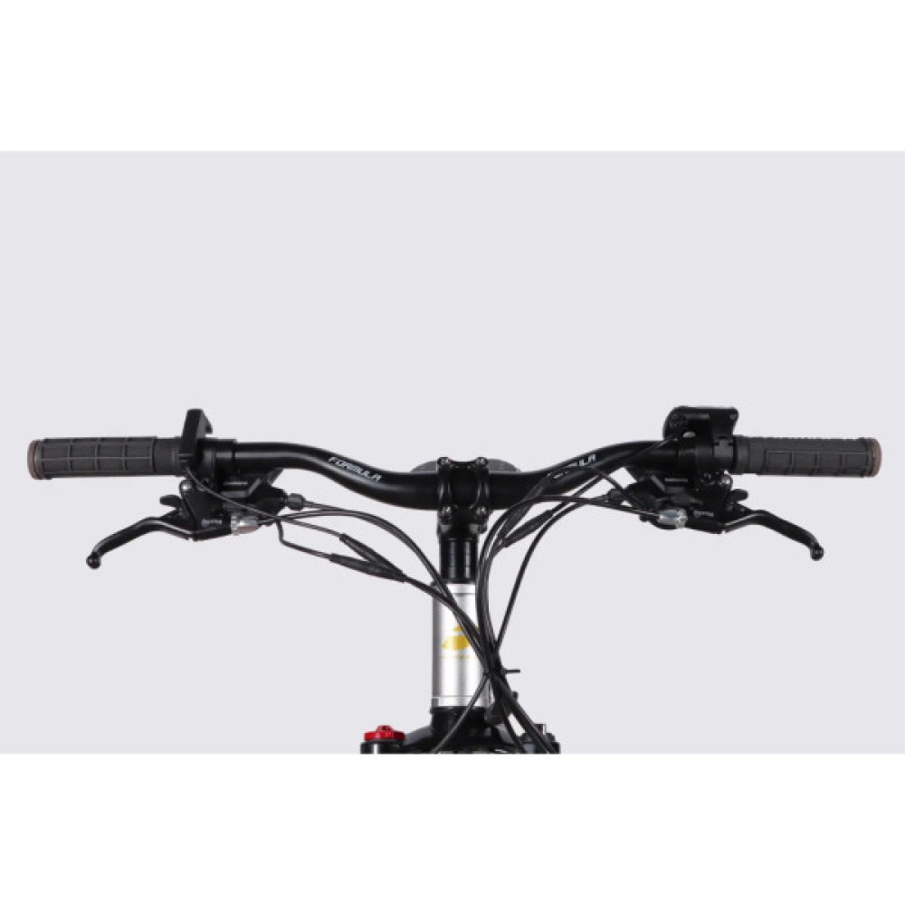 Електровелосипед Formula 29" eF-1 DD CS рама-18,5" 48B 17.5А*г 500Вт 2026 сріблясто-чорний (ELB-FR-29-252)