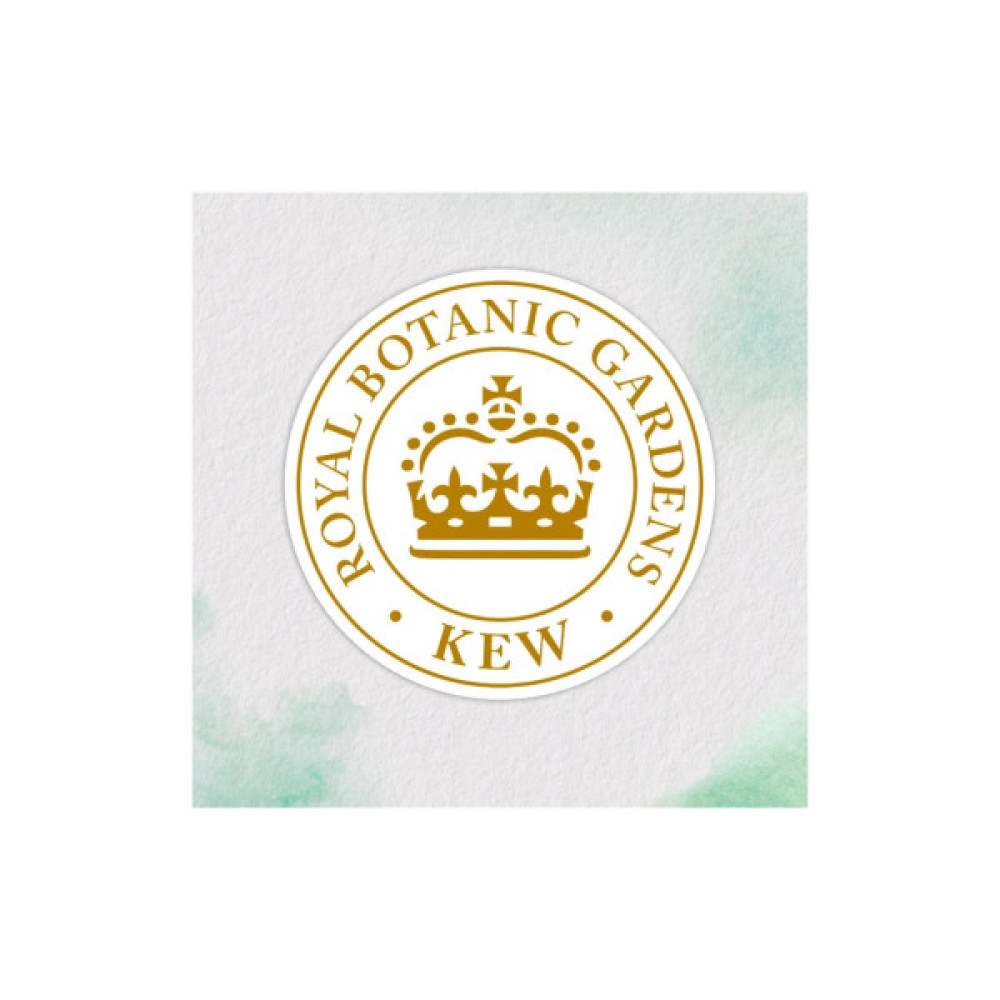 Маска для волосся Herbal Essences Арганова олія Відновлювальна 300 мл (8700216210966)