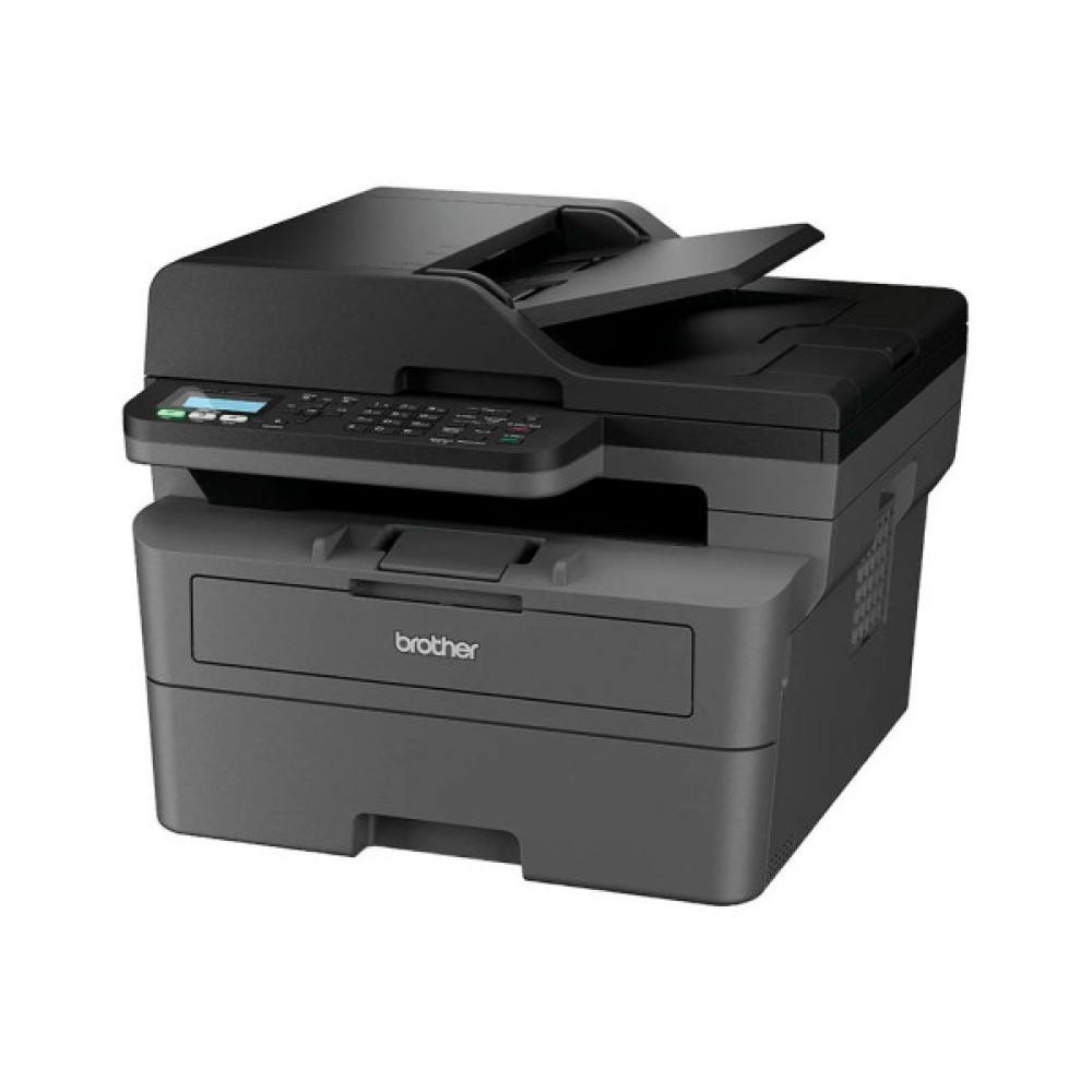 Багатофункціональний пристрій Brother MFCL2802DNYJ1